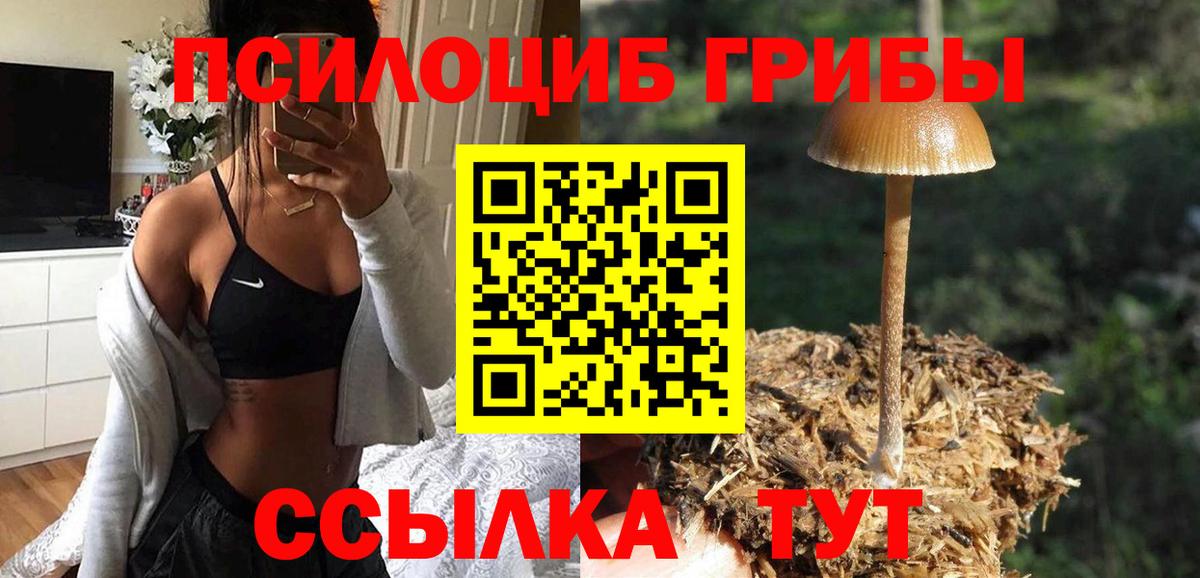 Галлюциногенные грибы мицелий  Вход с VPN  Псилоцибиновые грибы MAGIC MUSHROOMS  хочу наркоту  Дедовск 