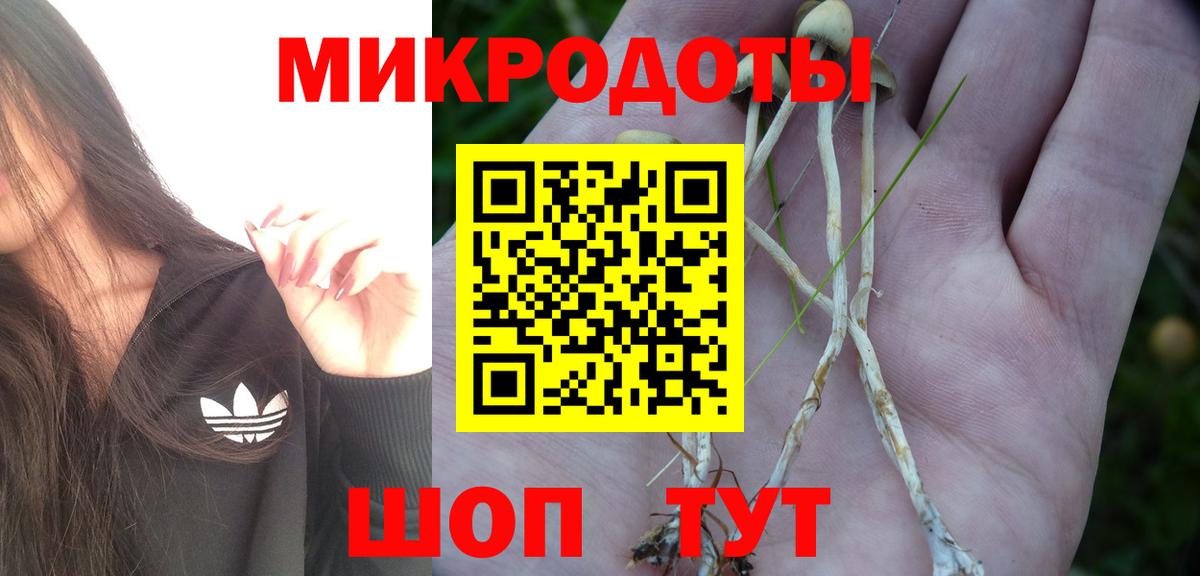 Галлюциногенные грибы мицелий Дедовск