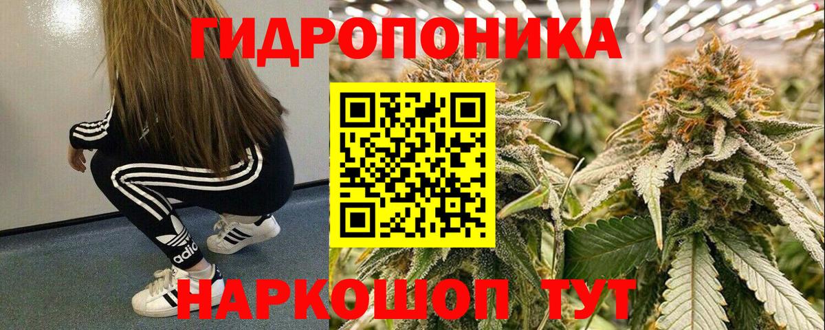 Марихуана Amnesia Дедовск